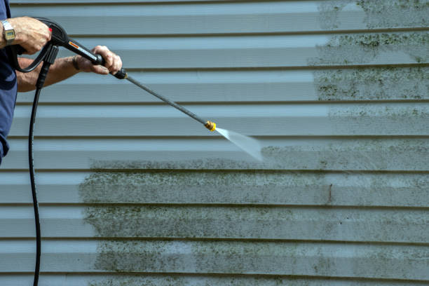 Best Sidewalk Pressure Washing  in Oconto, WI