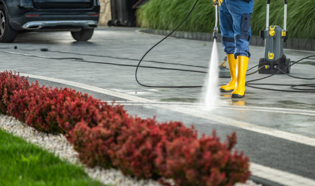 Best Exterior Home Cleaning  in Oconto, WI