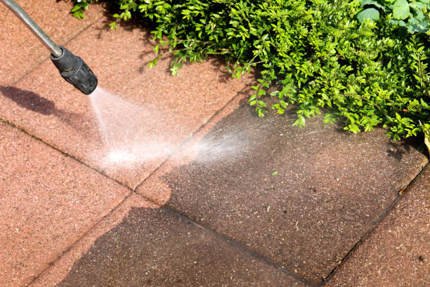 Best Roof Pressure Washing  in Oconto, WI